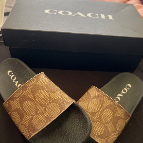 Coach slides - Picture 4 of 5